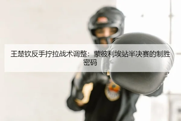 wang-chu-qin-fan-shou-ning-la-zhan-shu-tiao-zheng-meng-bi-li-ai-zhan-ban-jue-sai-de-zhi-sheng-mi-ma-2-672.jpg